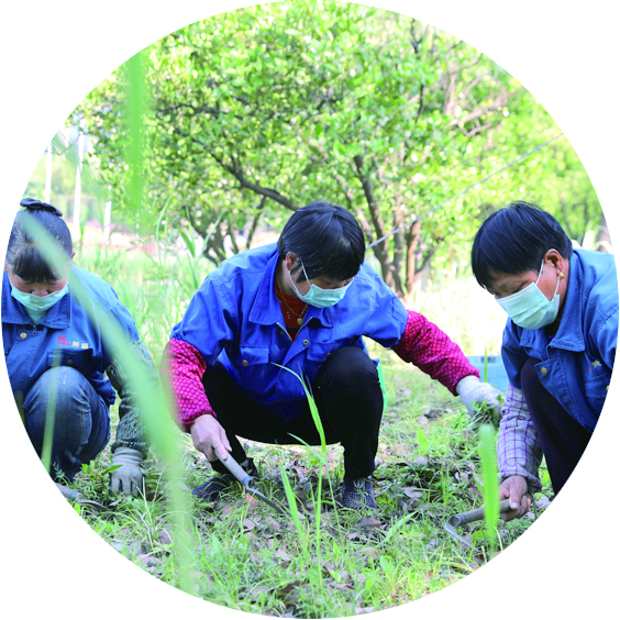 3-除草工.jpg