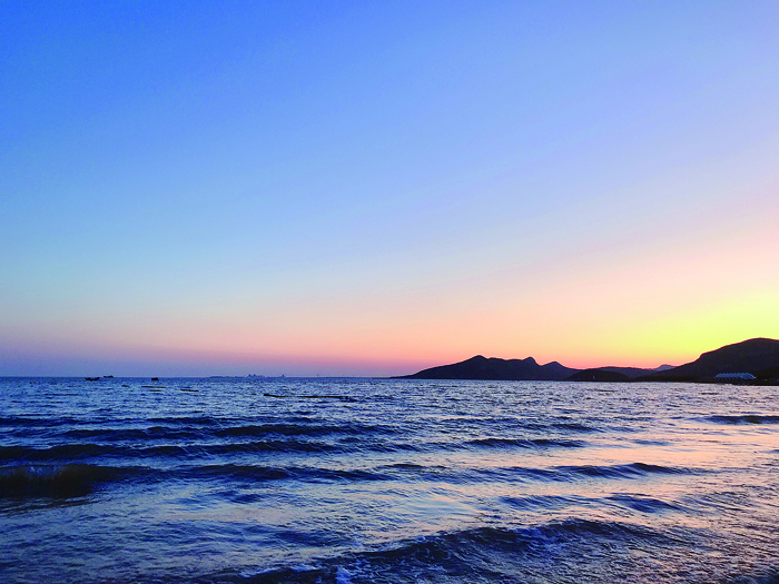 4-董海露.jpg