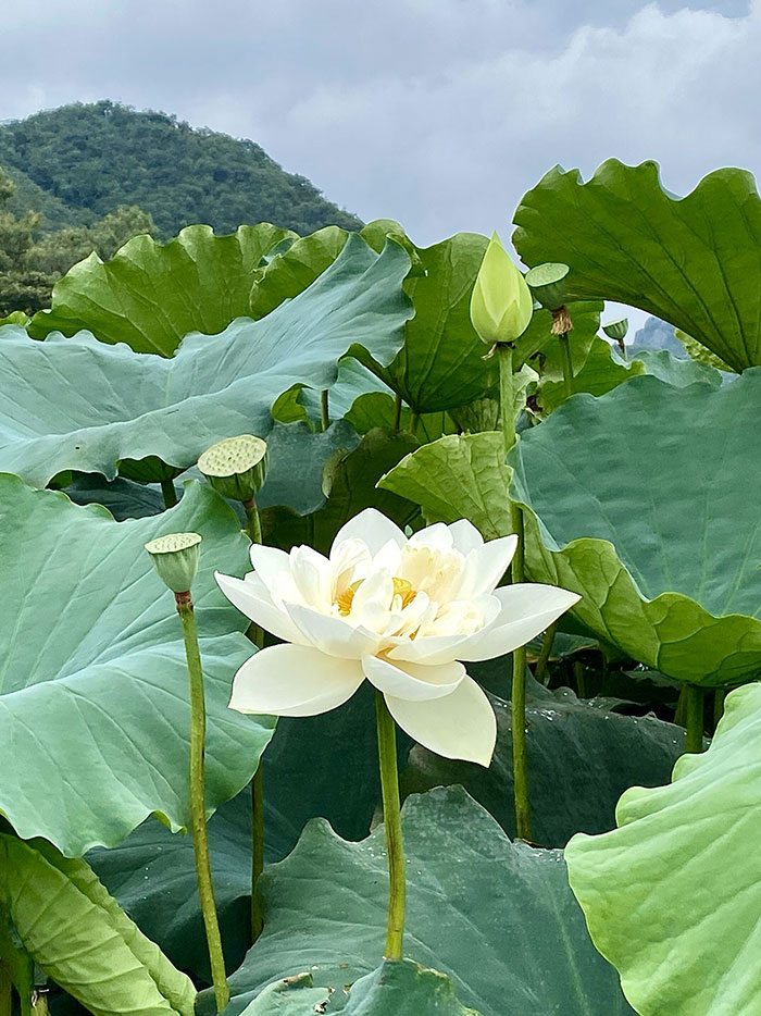 微信图片_20200923145135.jpg