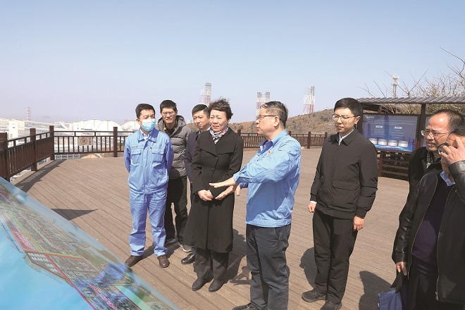 1-佟桂莉调研浙石化.jpg