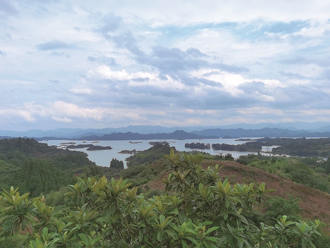 4-岸芷葱茏 波光潋滟.jpg