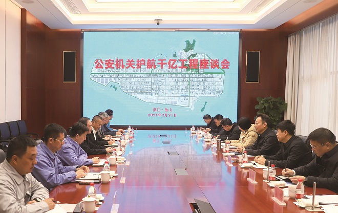 1-副省长走访浙石化.jpg